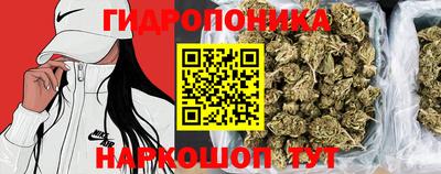 герыч Гатчина