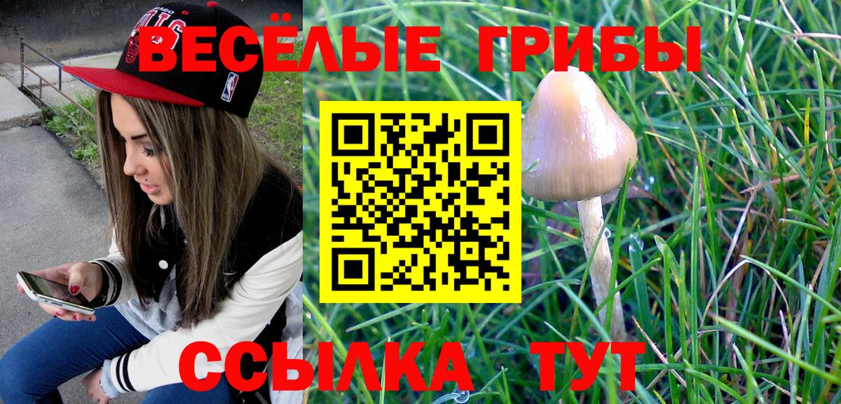 Псилоцибиновые грибы мицелий Печора